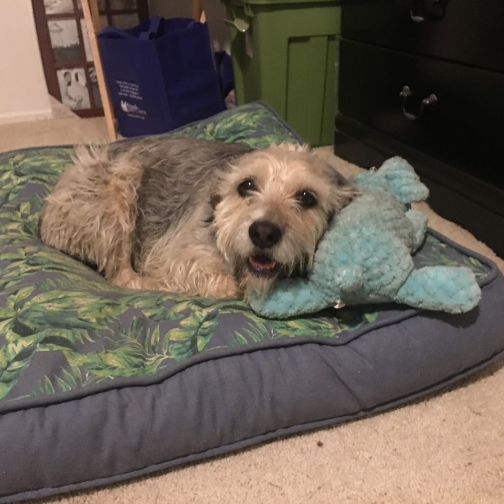 Meet your Posher, Michele